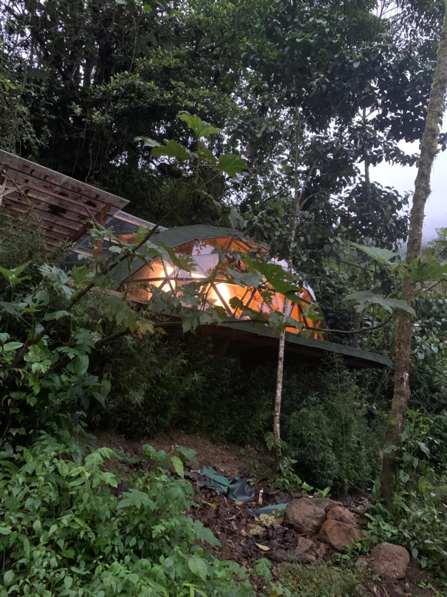 Magic Elf Glamping Apartment *