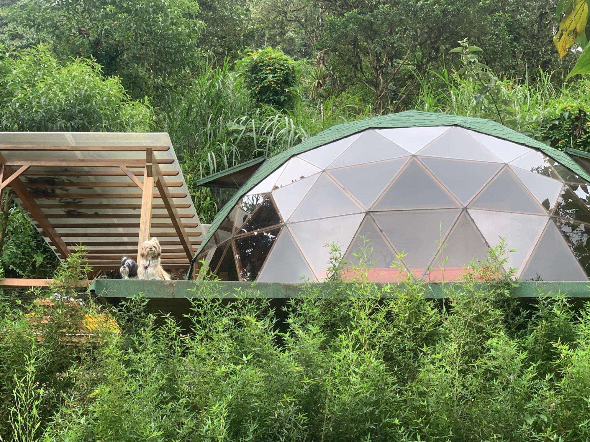 Magic Elf Glamping * Mindo