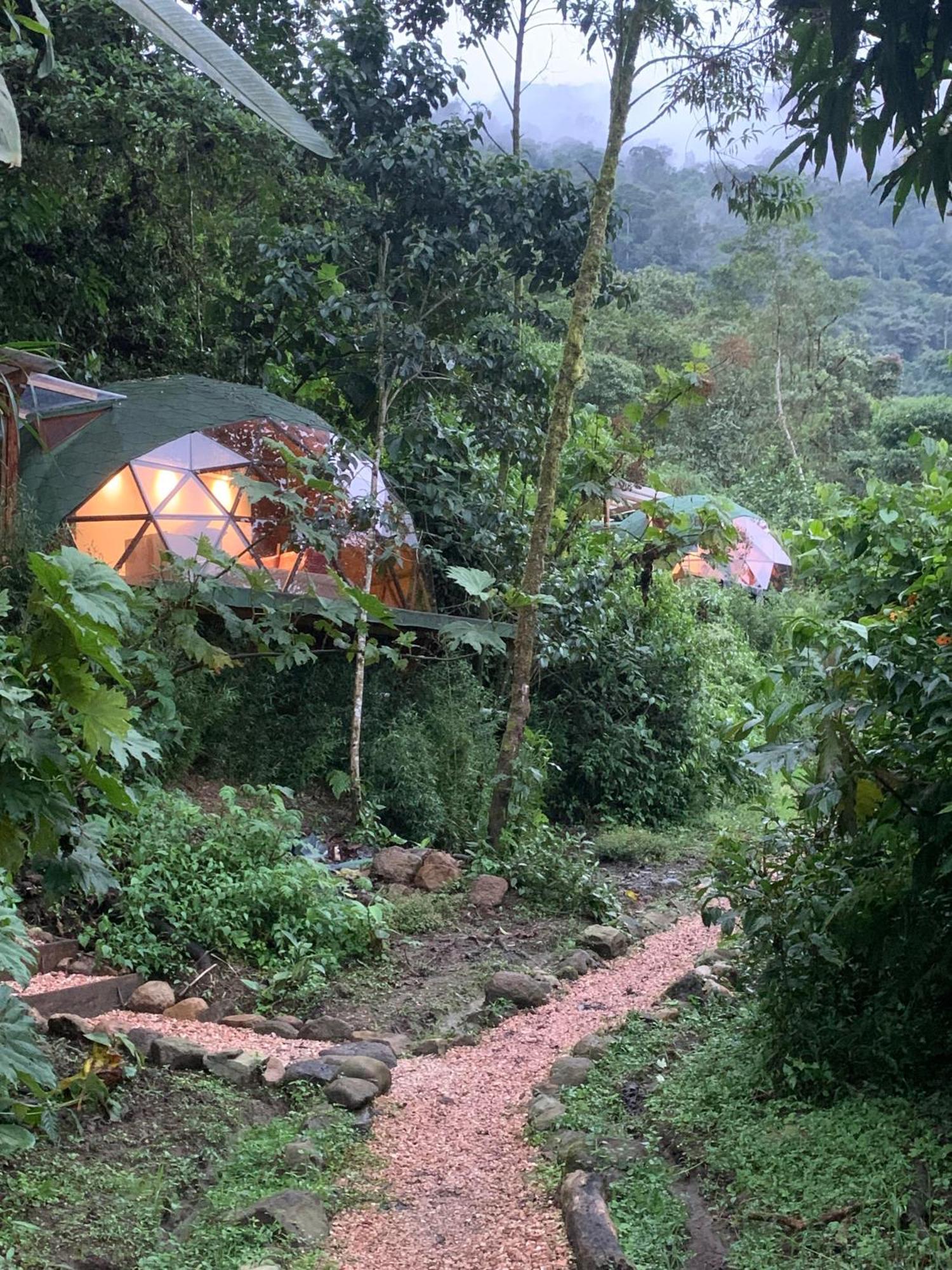 Magic Elf Glamping